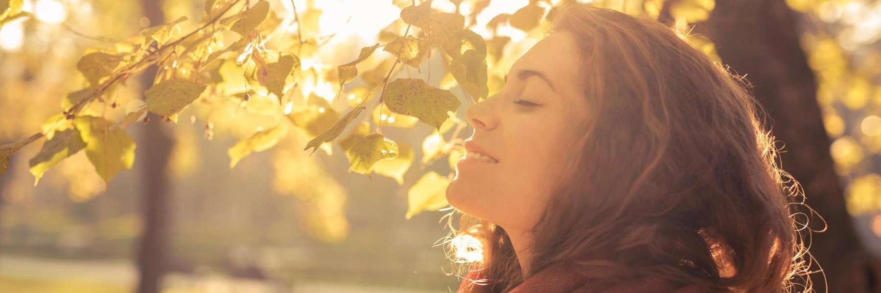 EMDR Trauma Therapy | Psychologist